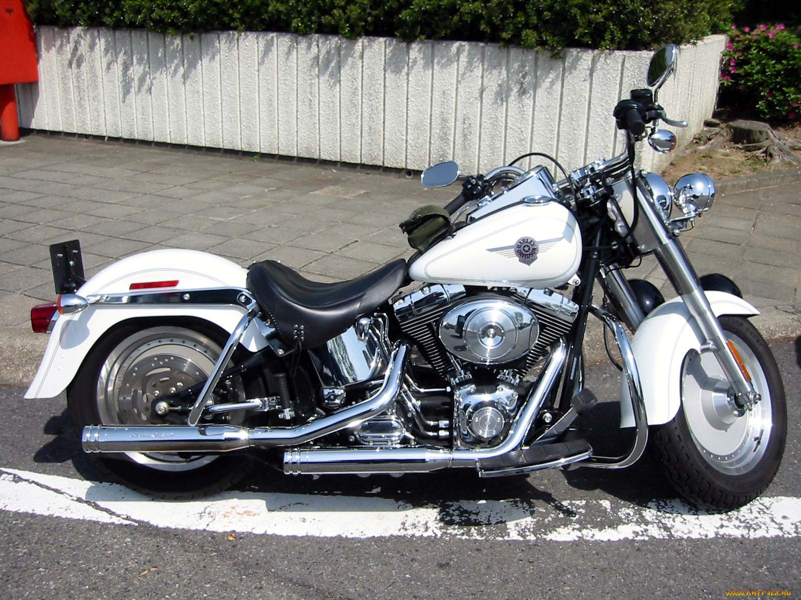 , harley, davidson